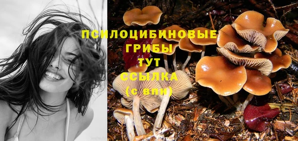 прущие крисы Костерёво