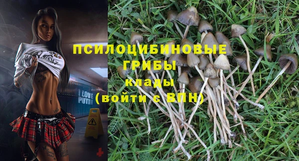 первитин Коряжма