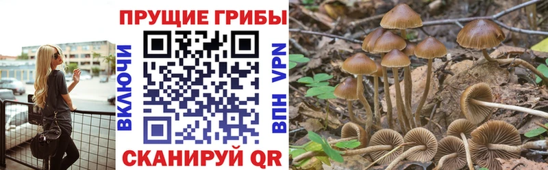 Купить закладки  Дегтярск  Псилоцибиновые грибы ЛСД 